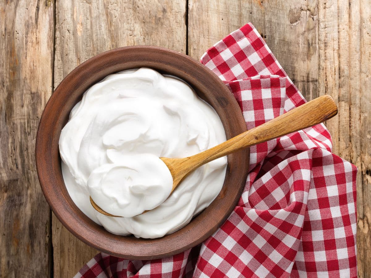 Plain Yogurt